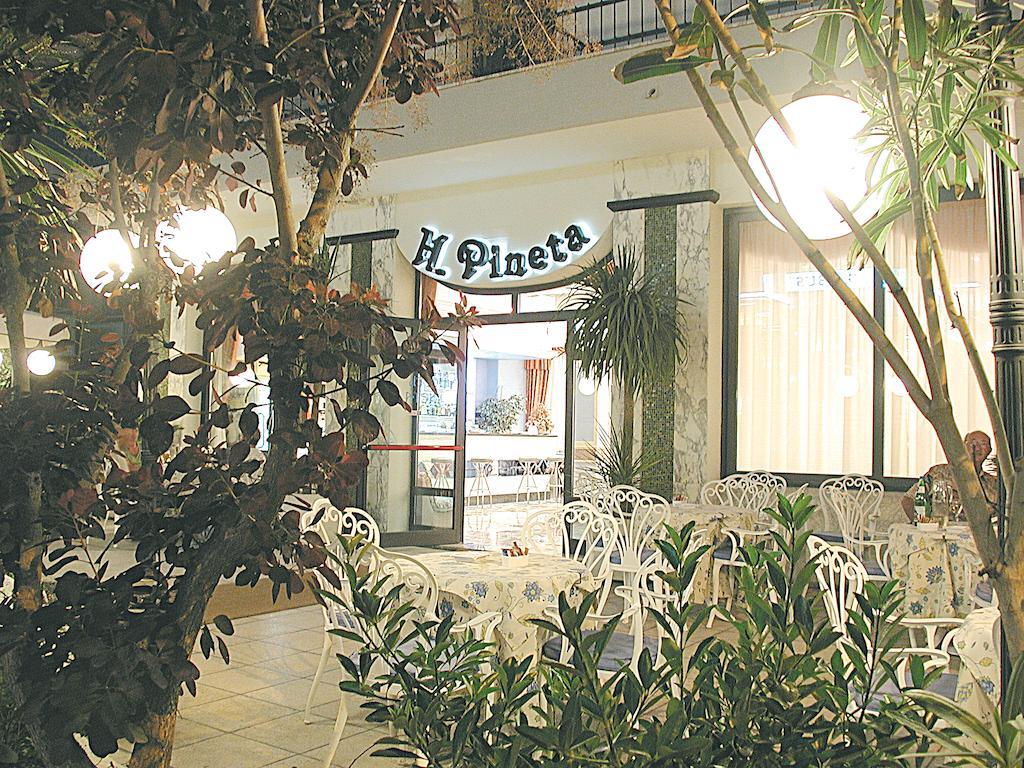 Hotel Pineta Беллария-Иджеа-Марина Экстерьер фото